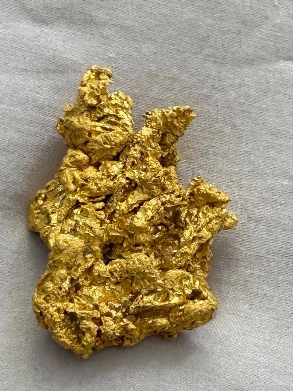 WhatsApp Image 2026-02-09 at 19.12.09 (2).jpeg