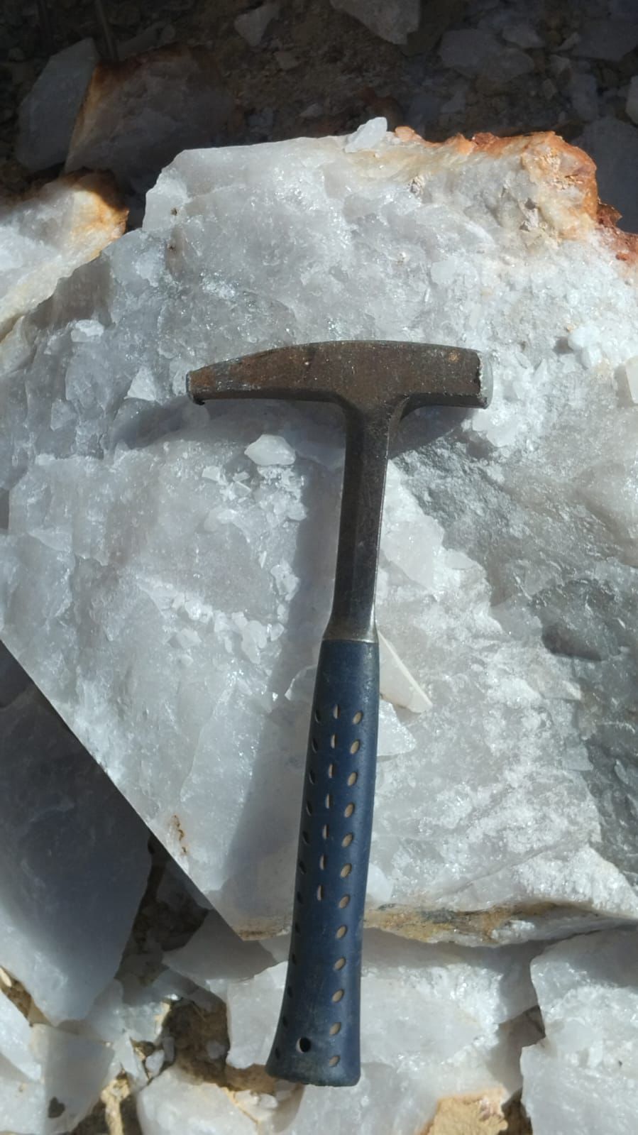 WhatsApp Image 2026-02-09 at 19.12.09 (1).jpeg