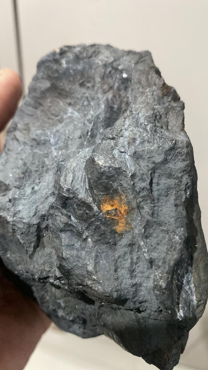 WhatsApp Image 2026-02-11 at 11.53.09.jpeg