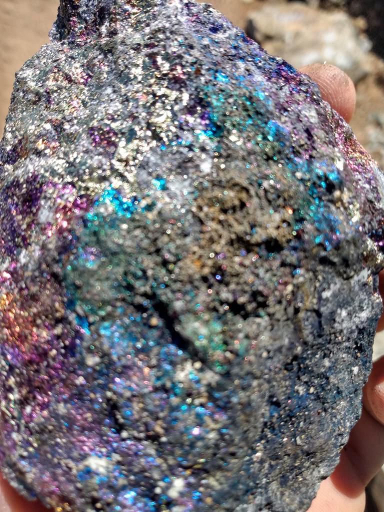 WhatsApp Image 2026-02-09 at 19.12.10.jpeg