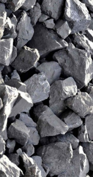 WhatsApp Image 2026-02-09 at 19.24.47.jpeg