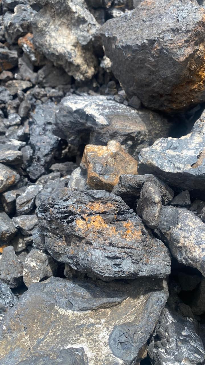 WhatsApp Image 2026-02-11 at 11.51.20.jpeg