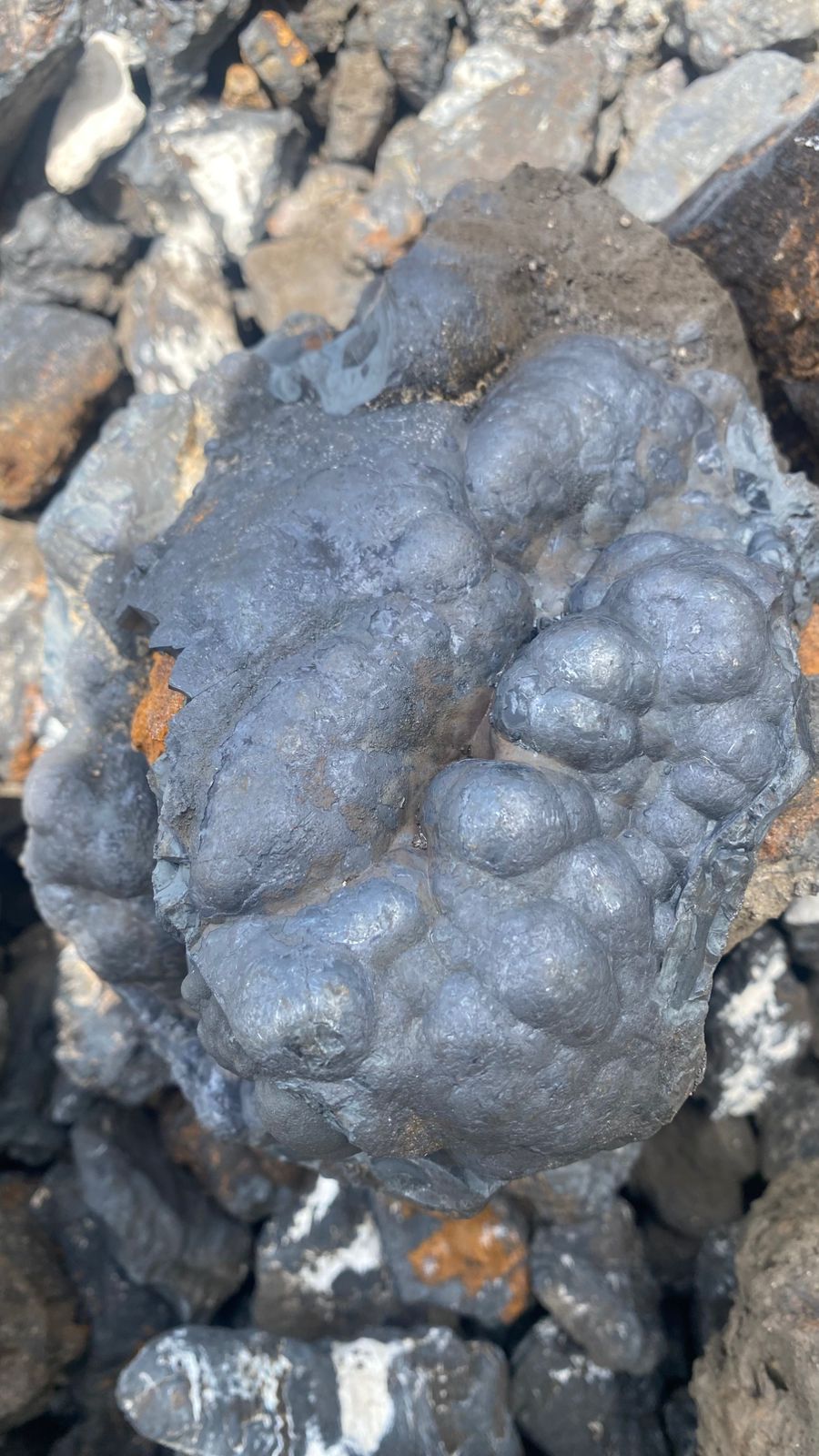 WhatsApp Image 2026-02-09 at 19.12.09.jpeg